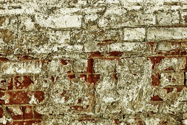 Similar image 13275073