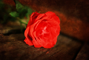 Similar image 13276470