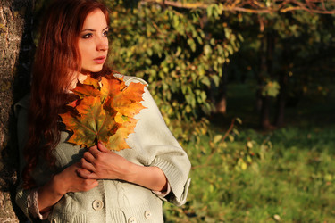 Similar image 13274683