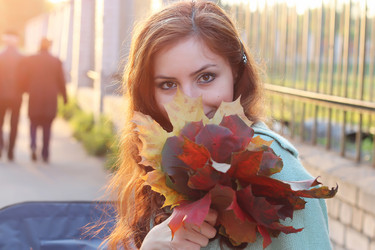 Similar image 13275006