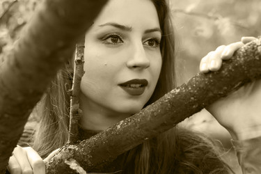 Similar image 13274547