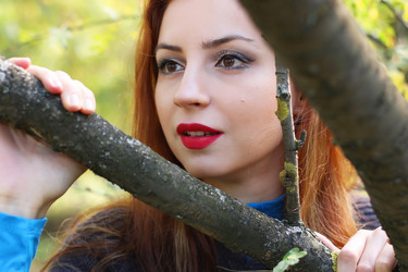 Similar image 13274570