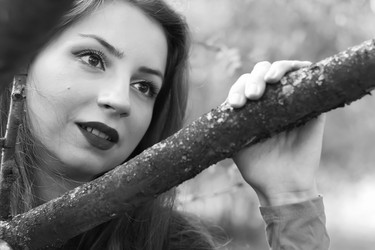 Similar image 13274609