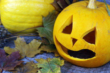 Similar image 13276416