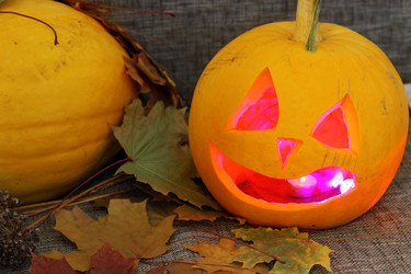 Similar image 13276456