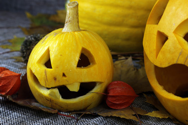 Similar image 13276608