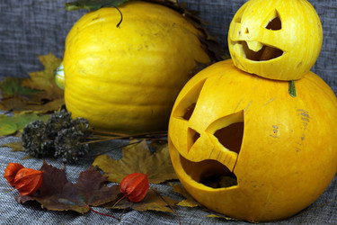 Similar image 13276650