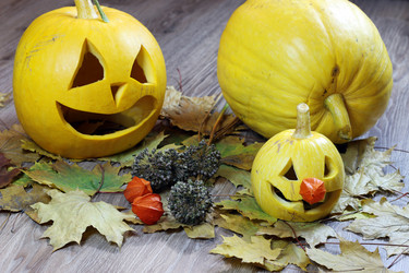 Similar image 13277857