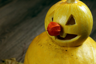 Similar image 13277895