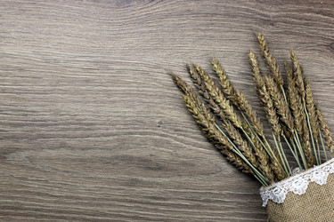 Similar image 13274548