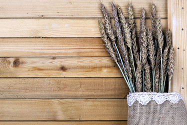 Similar image 13274610