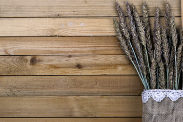 Similar image 13274647