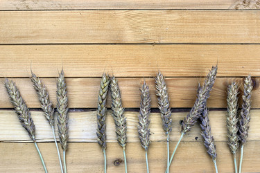 Similar image 13274685