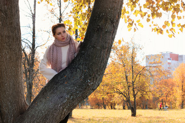 Similar image 13276530