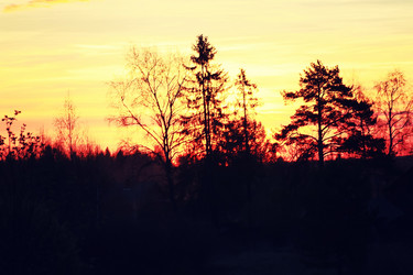 Similar image 13274728