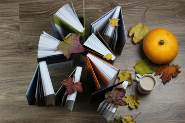 Similar image 13275819