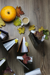 Similar image 13275857