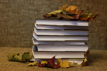 Similar image 13277975