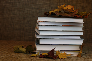 Similar image 13278016