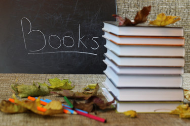 Similar image 13278055