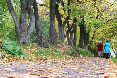 Similar image 13275859