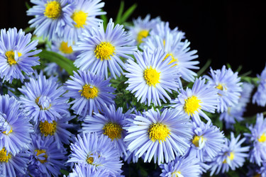 Similar image 13275042