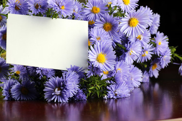 Similar image 13275180