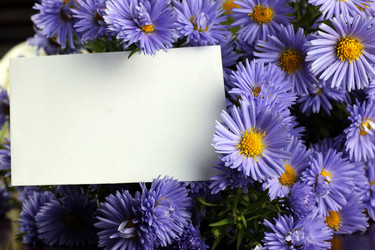 Similar image 13274851