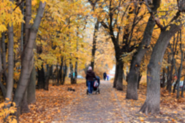 Similar image 13275663