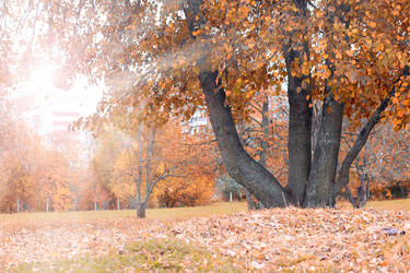 Similar image 13275320