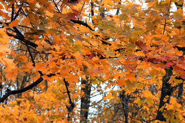 Similar image 13275839