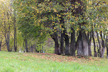 Similar image 13275908