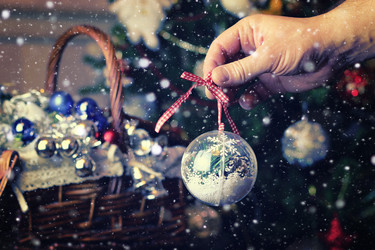 Similar image 13276434