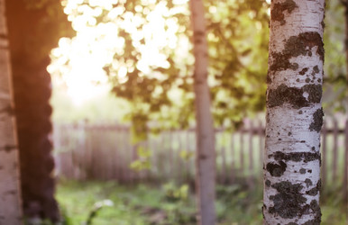 Similar image 13278132