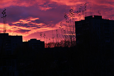 Similar image 13274550