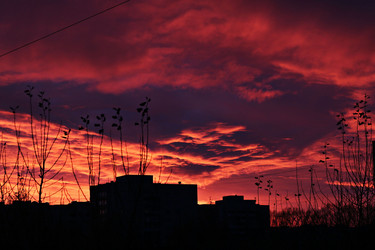 Similar image 13274573