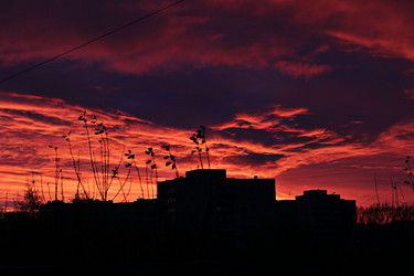 Similar image 13274612