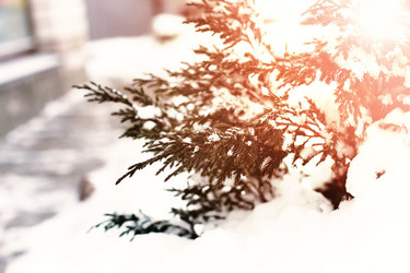 Similar image 13274730