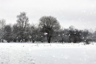 Similar image 13274765