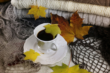 Similar image 13274907