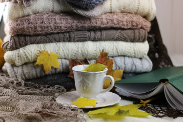 Similar image 13275017