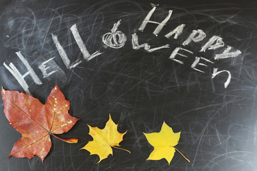 Similar image 13275683