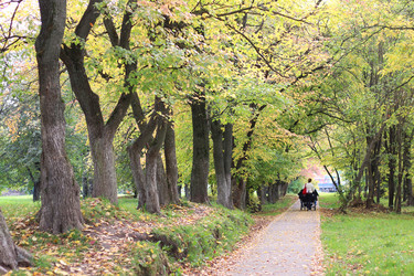 Similar image 13275255