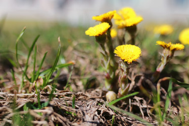 Similar image 13276571