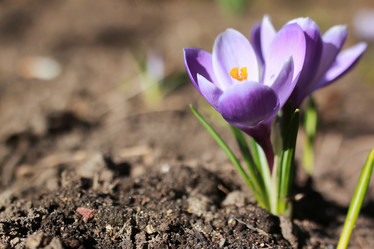 Similar image 13276630