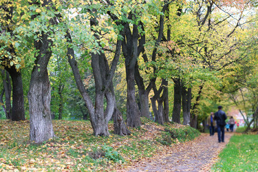 Similar image 13277815