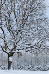 Similar image 13274750