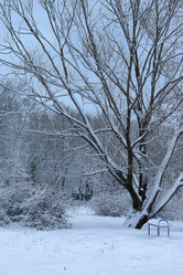 Similar image 13277860