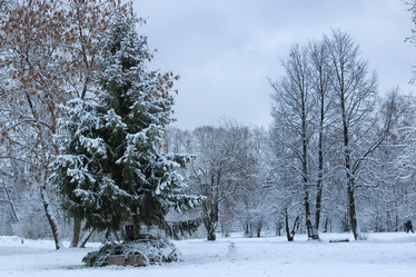 Similar image 13277938