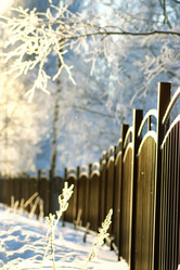 Similar image 13274751